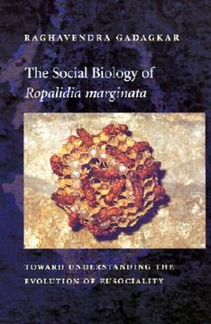 portada the social biology of "ropalidia marginata": toward understanding the evolution of eusociality (en Inglés)
