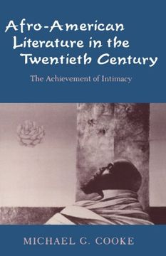portada Afro-American Literature in the Twentieth Century: The Achievement of Intimacy (en Inglés)