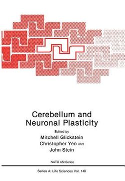 portada Cerebellum and Neuronal Plasticity (en Inglés)