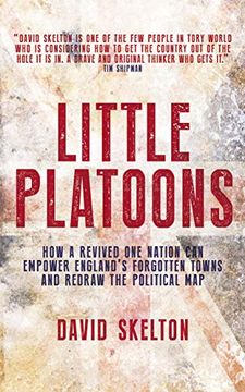 portada Little Platoons: How a Revived one Nation can Empower England's Forgotten Towns and Redraw the Political map (en Inglés)