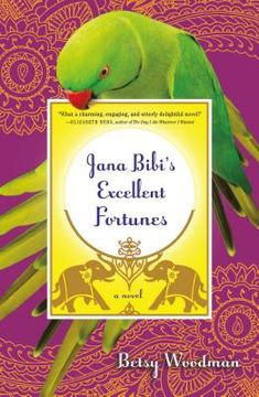 portada jana bibi ` s excellent fortunes (en Inglés)