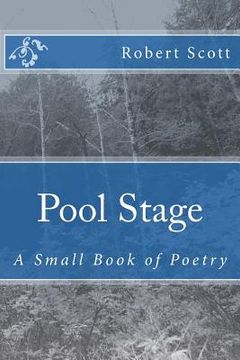 portada Pool Stage: A Small Book of Poetry (in English)