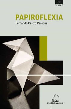 portada Papiroflexia (in Galician)