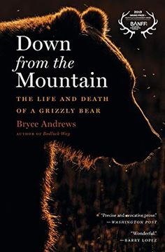 portada Down From the Mountain: The Life and Death of a Grizzly Bear 