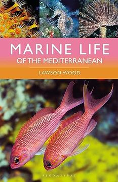 portada Marine Life of the Mediterranean (en Inglés)