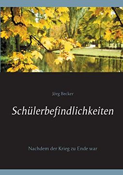 portada Schülerbefindlichkeiten: Nachdem der Krieg zu Ende war (in German)