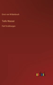 portada Tiefe Wasser: Fünf Erzählungen (in German)