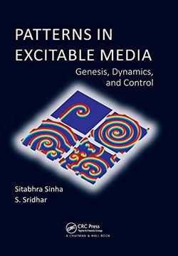 portada Patterns in Excitable Media: Genesis, Dynamics, and Control (en Inglés)