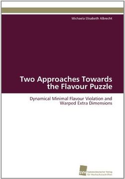 portada two approaches towards the flavour puzzle (en Inglés)