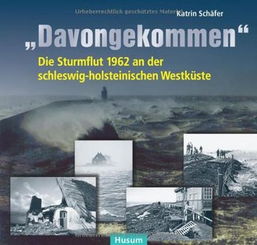 portada "Davongekommen": Die Sturmflut 1962 an der schleswig-holsteinischen Westküste (en Alemán)