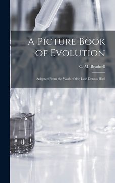 portada A Picture Book of Evolution: Adapted From the Work of the Late Dennis Hird (en Inglés)