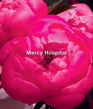 portada Ida Applebroog: Mercy Hospital (in English)