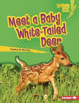 portada Meet a Baby White-Tailed Deer Format: Library Bound 
