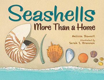portada Seashells: More Than a Home (in English)