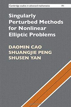 portada Singularly Perturbed Methods for Nonlinear Elliptic Problems (Cambridge Studies in Advanced Mathematics) (in English)