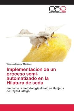 portada Implementacion de un Proceso Semi-Automatizado en la Hilatura de Seda: Mediante la Metodologia Dmaic en Huejutla de Reyes Hidalgo