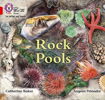 portada Rock Pools: Band 02b 