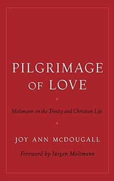 portada Pilgrimage of Love: Moltmann on the Trinity and Christian Life (Aar Reflection and Theory in the Study of Religion) (en Inglés)