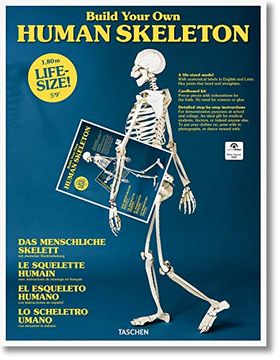 portada Build Your own Human Skeleton - Life-Size! 