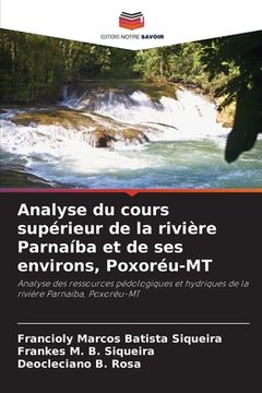 portada Analyse du cours supérieur de la rivière Parnaíba et de ses environs, Poxoréu-MT