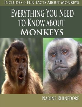 portada Everything You need To Know About Monkeys