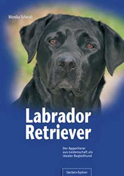 portada Labrador Retriever: Der Apportierer aus Leidenschaft als Idealer Begleithund (en Alemán)