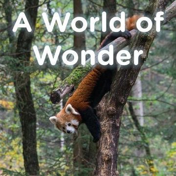 portada A World of Wonder (en Inglés)