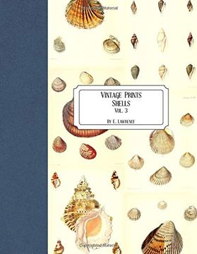 portada Vintage Prints: Shells: Vol. 3 (in English)