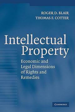 portada Intellectual Property: Economic and Legal Dimensions of Rights and Remedies (en Inglés)