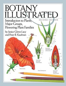 portada Botany Illustrated: Introduction to Plants, Major Groups, Flowering Plant Families (en Inglés)