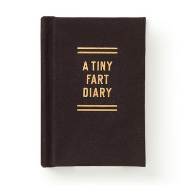 portada A Tiny Fart Diary (en Inglés)