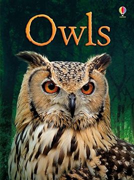 portada Beg Owls (Beginners Series) (en Inglés)