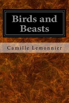 portada Birds and Beasts