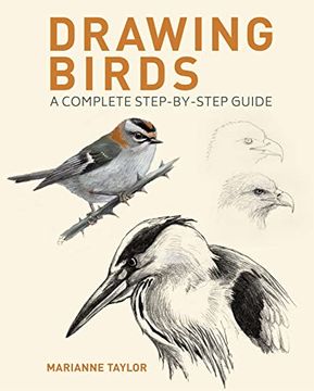 portada Drawing Birds (en Inglés)