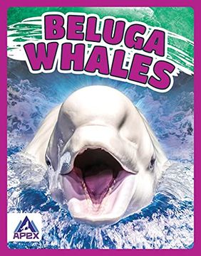 portada Giants of the Sea: Beluga Whales (en Inglés)