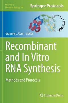 portada recombinant and in vitro rna synthesis