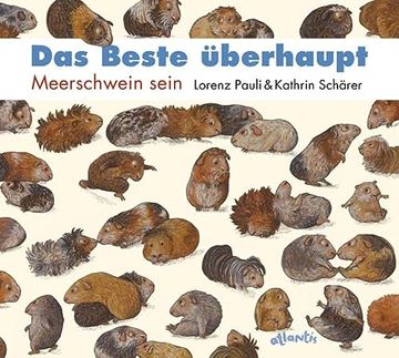 portada Das Beste Überhaupt: Meerschwein Sein (in German)