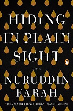 portada Hiding in Plain Sight: A Novel (en Inglés)