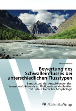 portada Bewertung des Schwalleinflusses bei unterschiedlichen Flusstypen