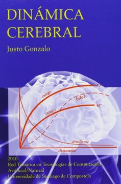 portada Dinámica Cerebral: La Actividad Cerebral en Función de las Condiciones Dinámicas de la Excitabilidad Nerviosa (in Spanish)