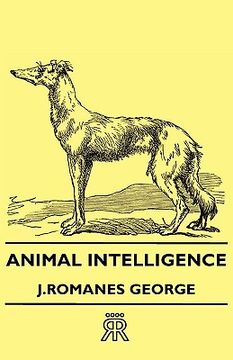 portada animal intelligence (in English)