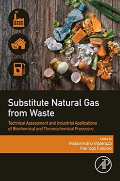 portada Substitute Natural gas From Waste: Technical Assessment and Industrial Applications of Biochemical and Thermochemical Processes (in English)