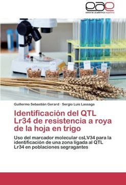 portada Identificacion del Qtl Lr34 de Resistencia a Roya de La Hoja En Trigo