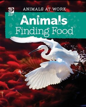portada Animals Finding Food
