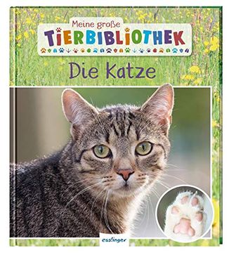 portada Die Katze (Meine Große Tierbibliothek) (en Alemán)