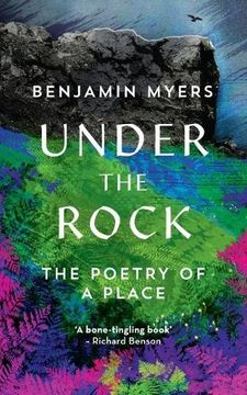 portada Under the Rock: The Poetry of a Place