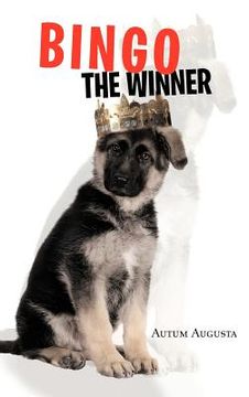 portada bingo the winner (in English)