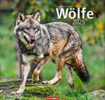 portada Wölfe Kalender 2025