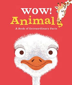 portada Wow! Animals (Paperback) (in English)