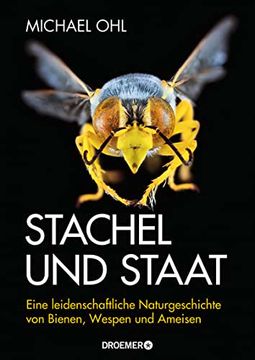 portada Stachel und Staat: Eine Leidenschaftliche Naturgeschichte von Bienen, Wespen und Ameisen (en Alemán)